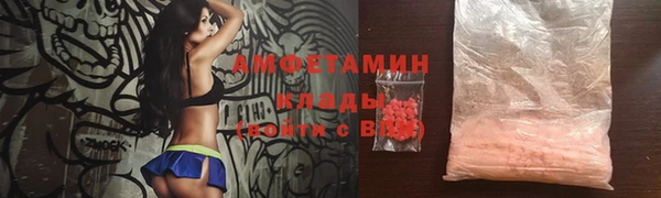 гашик Ельня
