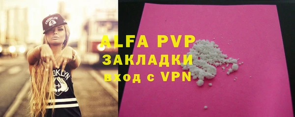 гашик Ельня