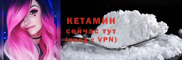 гашик Ельня