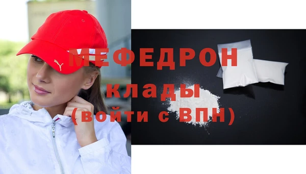 гашик Ельня