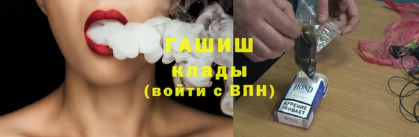 гашик Ельня
