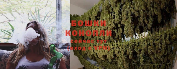 гашик Ельня