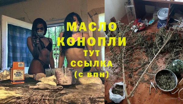 гашик Ельня