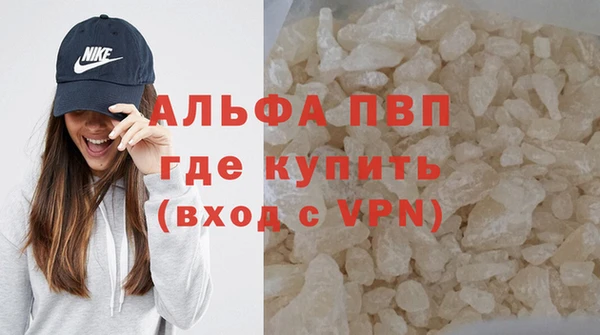 гашик Ельня
