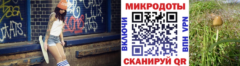 Псилоцибиновые грибы Magic Shrooms  Купить  Ужур 